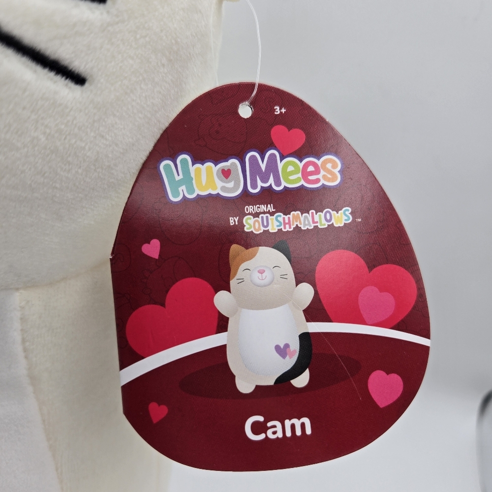 NEW Squishmallows Hug Mees Cam Calico Cat Valentines Plush Stuffed Animal 12" - Picture 3 of 14